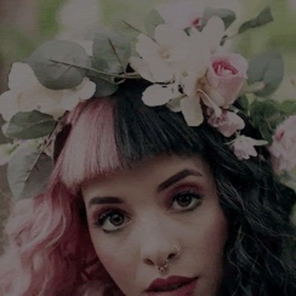 Meet your Posher, Gilbert - Picture 1 of 1